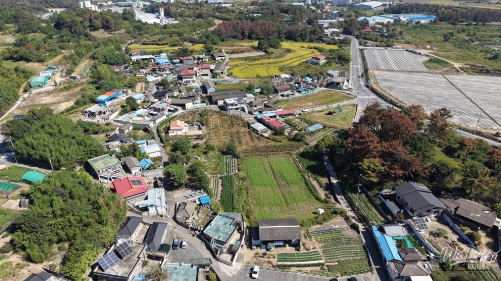 Exploring Yunsan Village in Hamann: A Journey Through Buckwheat Flowers_03