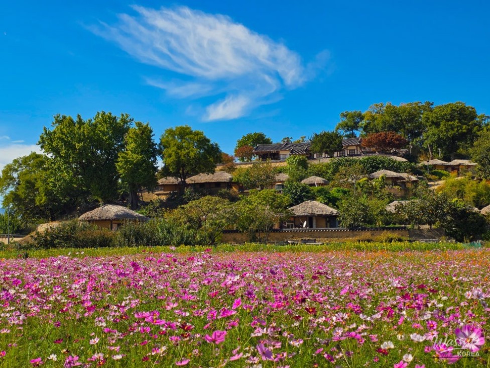 Exploring Yangdong Village in Gyeongju: A Tranquil Autumn Retreat_01