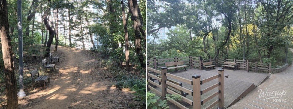 Discovering Nature in the Heart of Bucheon: Hambak Neighborhood Park_05