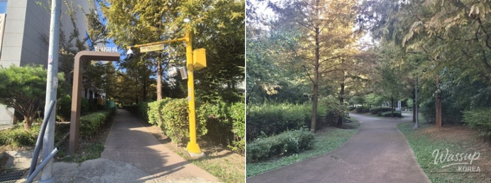 Discovering Nature in the Heart of Bucheon: Hambak Neighborhood Park_02