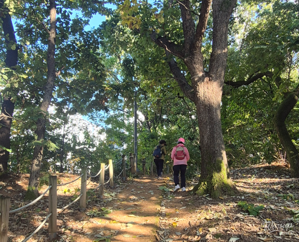 Discovering Nature in the Heart of Bucheon: Hambak Neighborhood Park_11