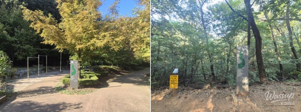 Discovering Nature in the Heart of Bucheon: Hambak Neighborhood Park_07