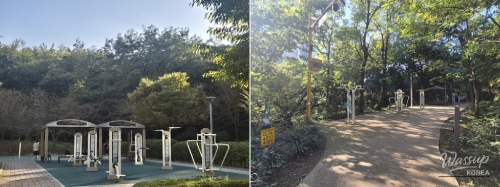 Discovering Nature in the Heart of Bucheon: Hambak Neighborhood Park_06