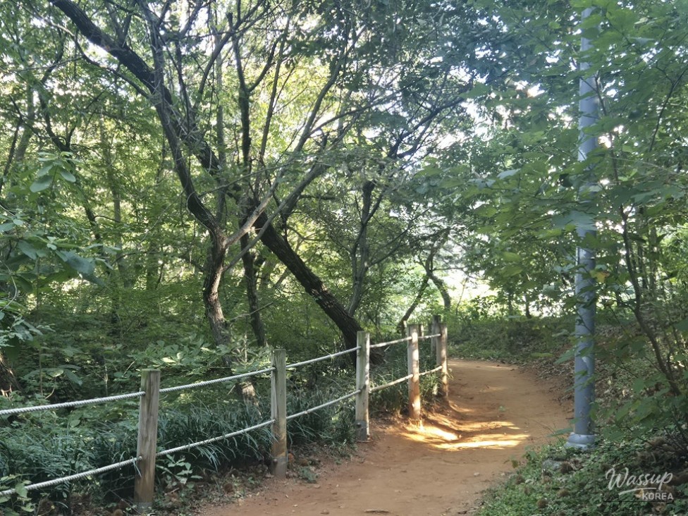 Discovering Nature in the Heart of Bucheon: Hambak Neighborhood Park_04