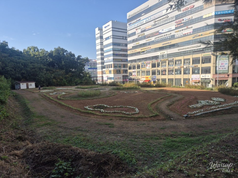 Discovering Nature in the Heart of Bucheon: Hambak Neighborhood Park_10