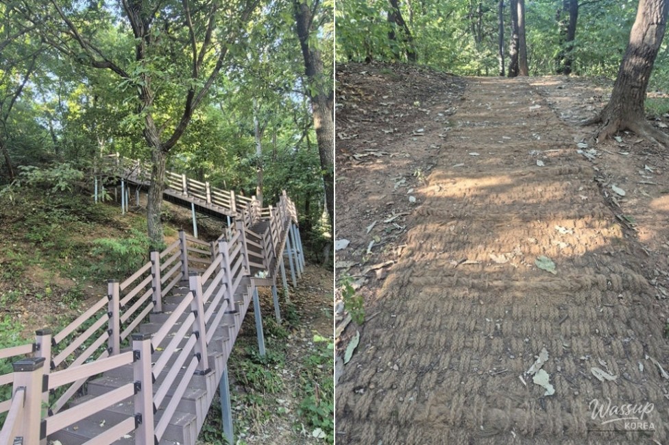 Discovering Nature in the Heart of Bucheon: Hambak Neighborhood Park_03