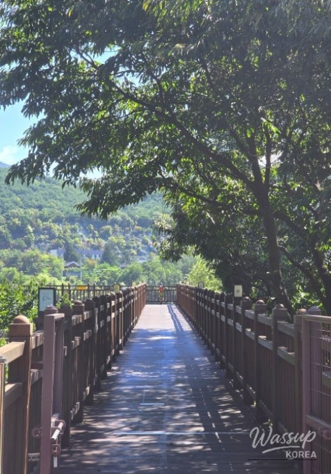 Exploring the Natural Beauty of Danyang_03