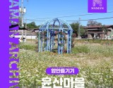 Exploring Yunsan Village in Hamann: A Journey Through Buckwheat Flowers
