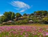 Exploring Yangdong Village in Gyeongju: A Tranquil Autumn Retreat