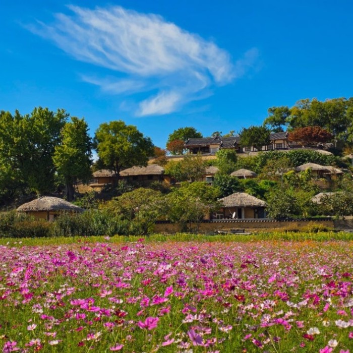 Exploring Yangdong Village in Gyeongju: A Tranquil Autumn Retreat