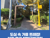 Discovering Nature in the Heart of Bucheon: Hambak Neighborhood Park