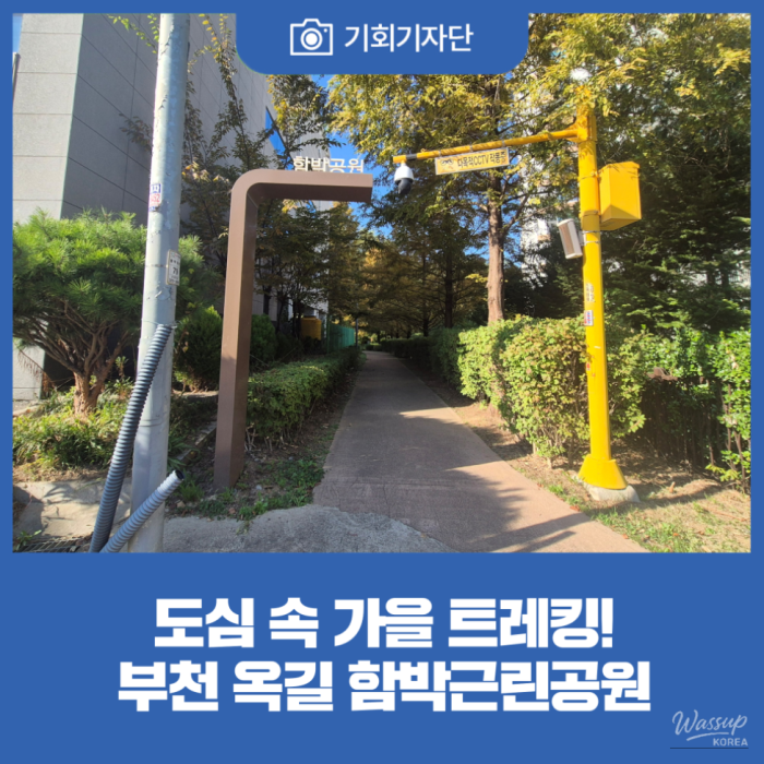 Discovering Nature in the Heart of Bucheon: Hambak Neighborhood Park