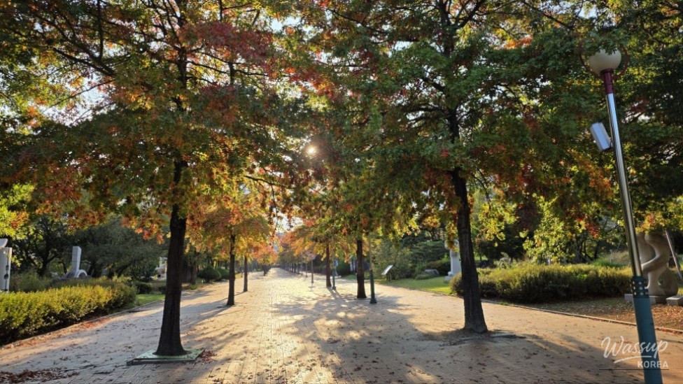 Exploring Geochang Sports Park_09