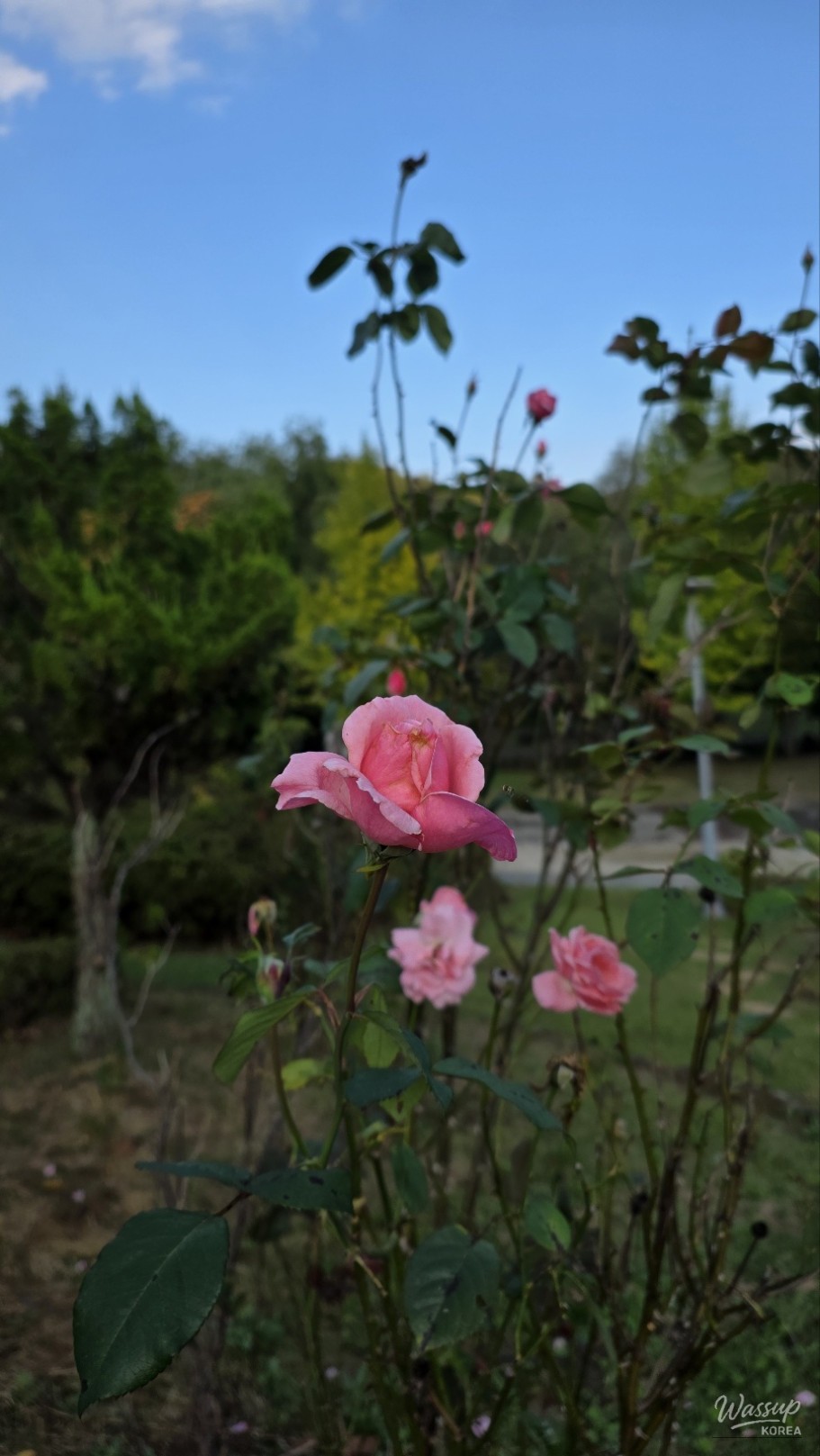 Exploring Geochang Sports Park_08