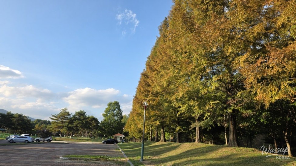 Exploring Geochang Sports Park_01