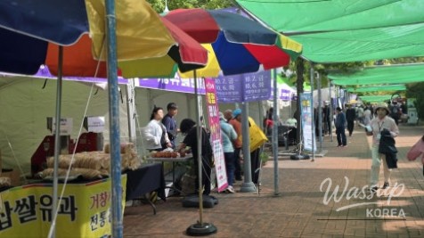 Exploring Geochang Sports Park_05