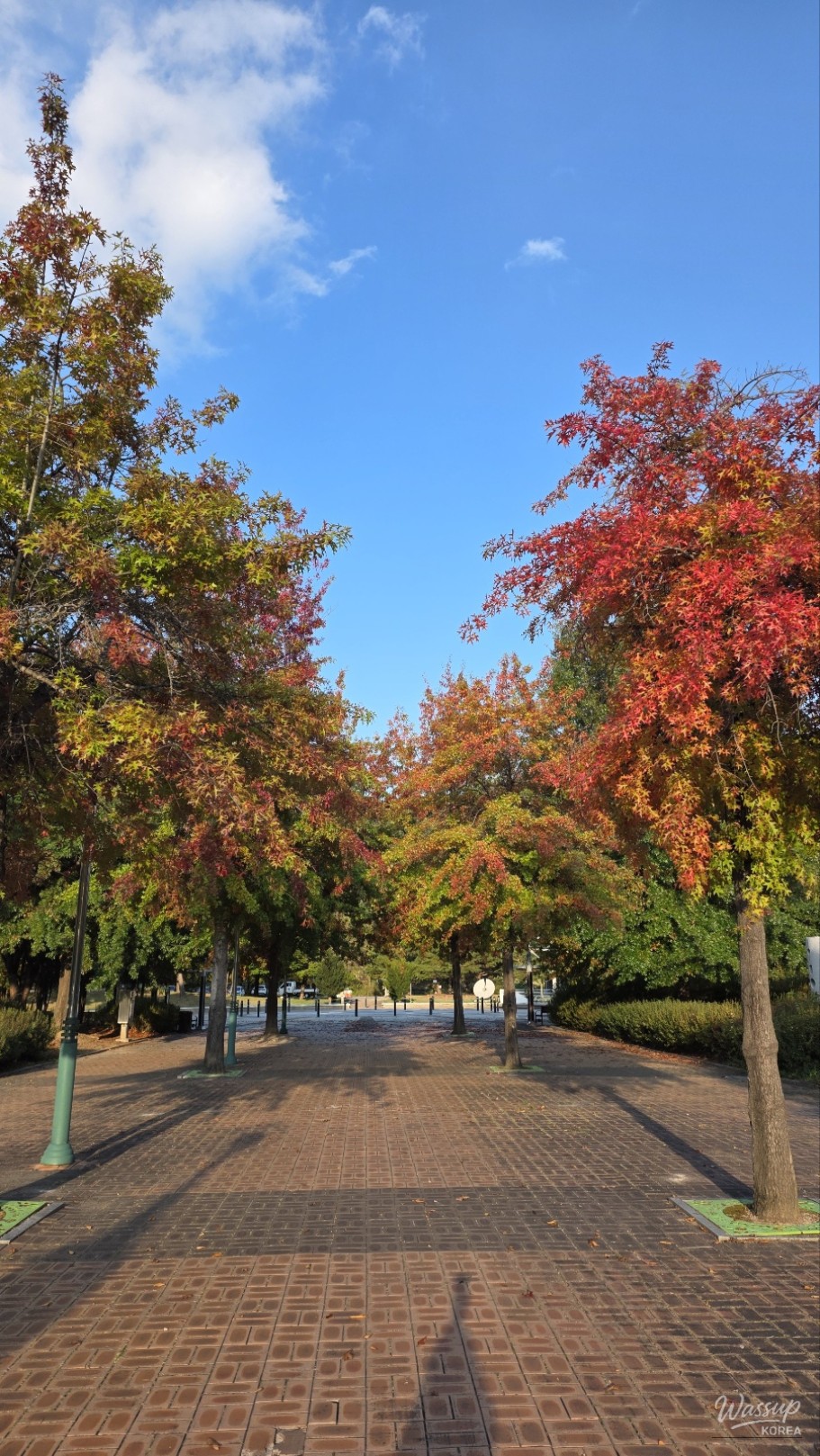 Exploring Geochang Sports Park_07