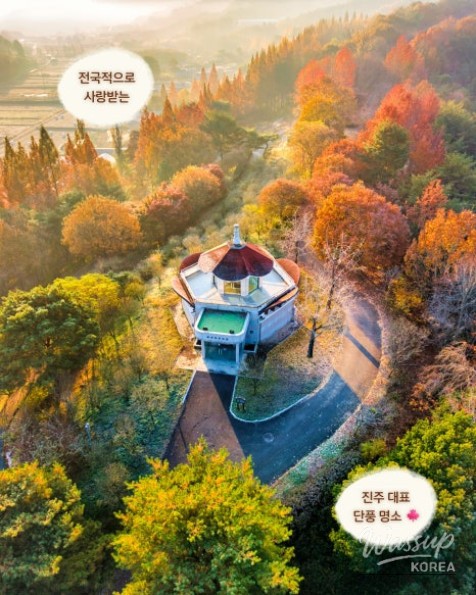 Recommended Autumn Outings in Jinju, Gyeongnam_03