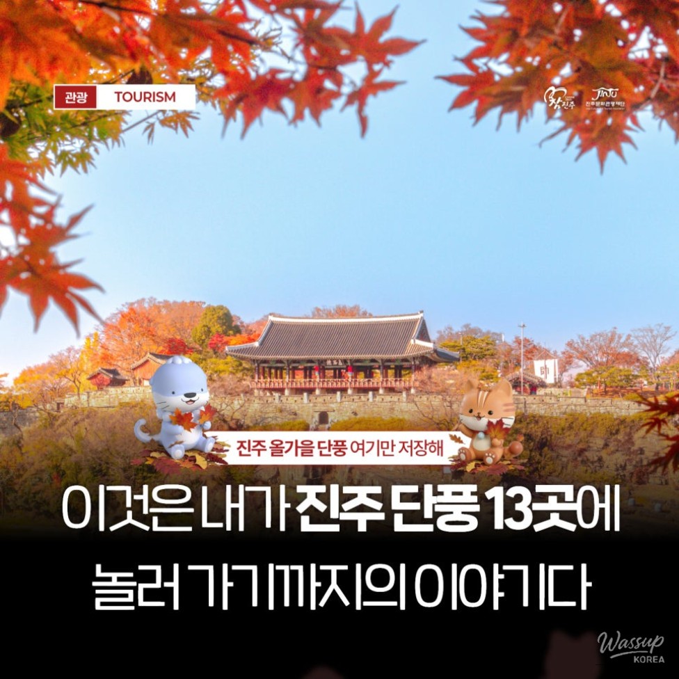 Recommended Autumn Outings in Jinju, Gyeongnam_01