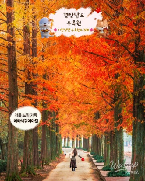 Recommended Autumn Outings in Jinju, Gyeongnam_02