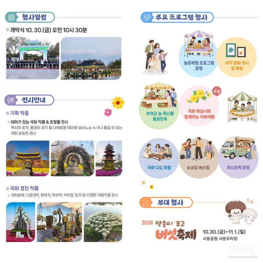 23rd Buyeo Chrysanthemum Festival Opens on October 30!_07