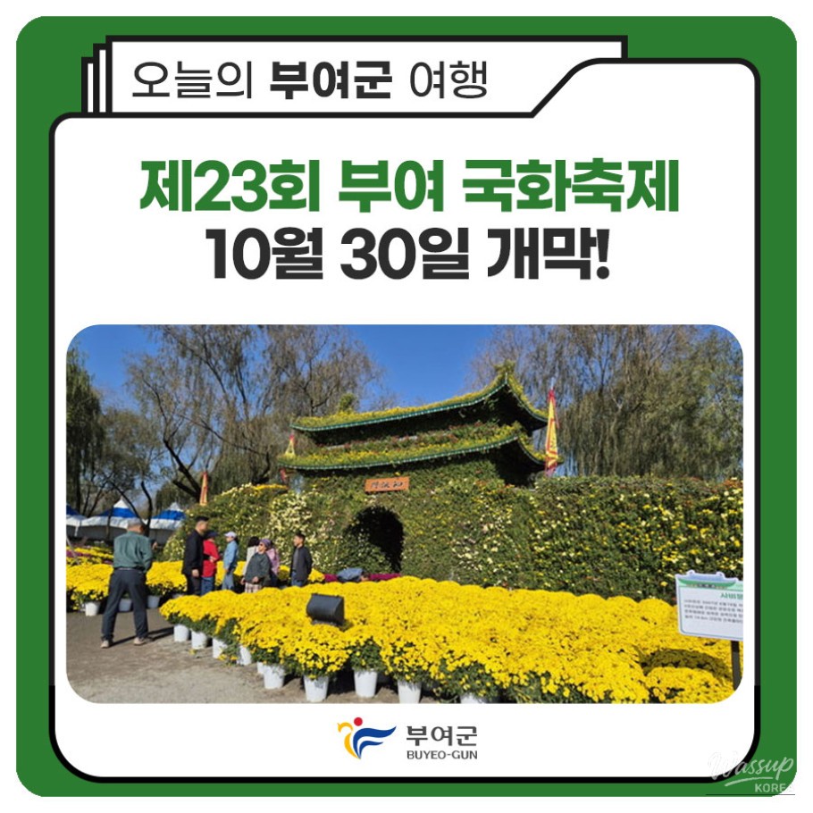 23rd Buyeo Chrysanthemum Festival Opens on October 30!_01