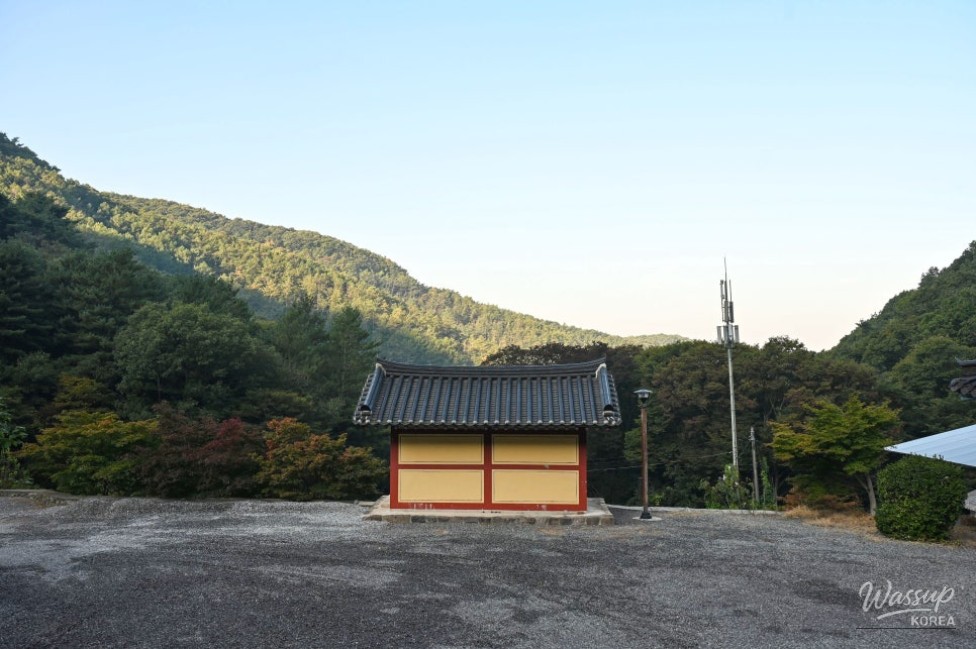 Exploring the Tranquil Yeongsusa Temple at Duta Mountain_09