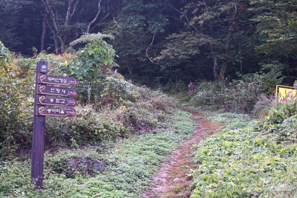Exploring the Tranquil Yeongsusa Temple at Duta Mountain_06