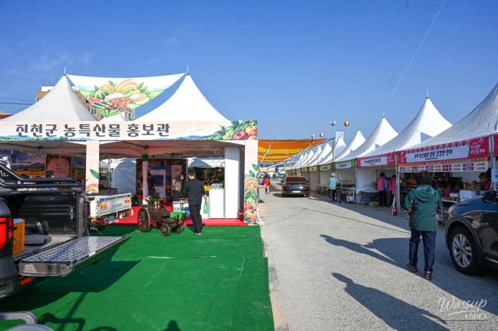Exploring the Charm of Jincheon: Saenggeo Jincheon Cultural Festival_08
