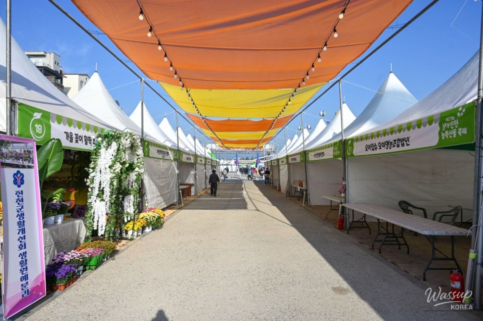 Exploring the Charm of Jincheon: Saenggeo Jincheon Cultural Festival_09