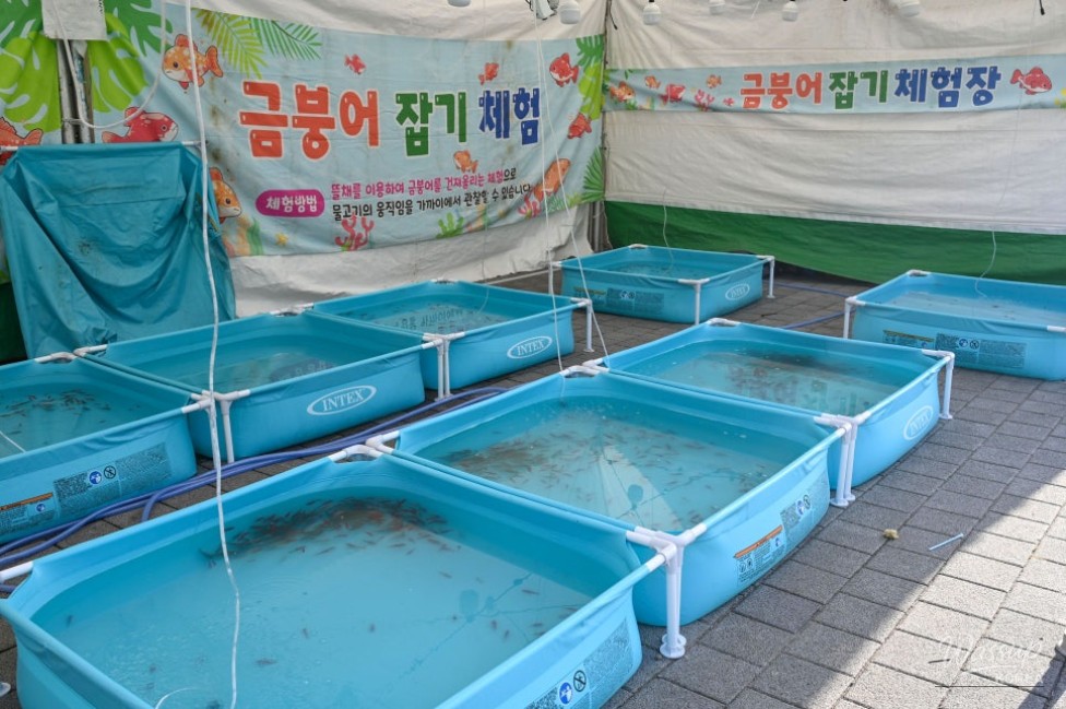 Exploring the Charm of Jincheon: Saenggeo Jincheon Cultural Festival_05