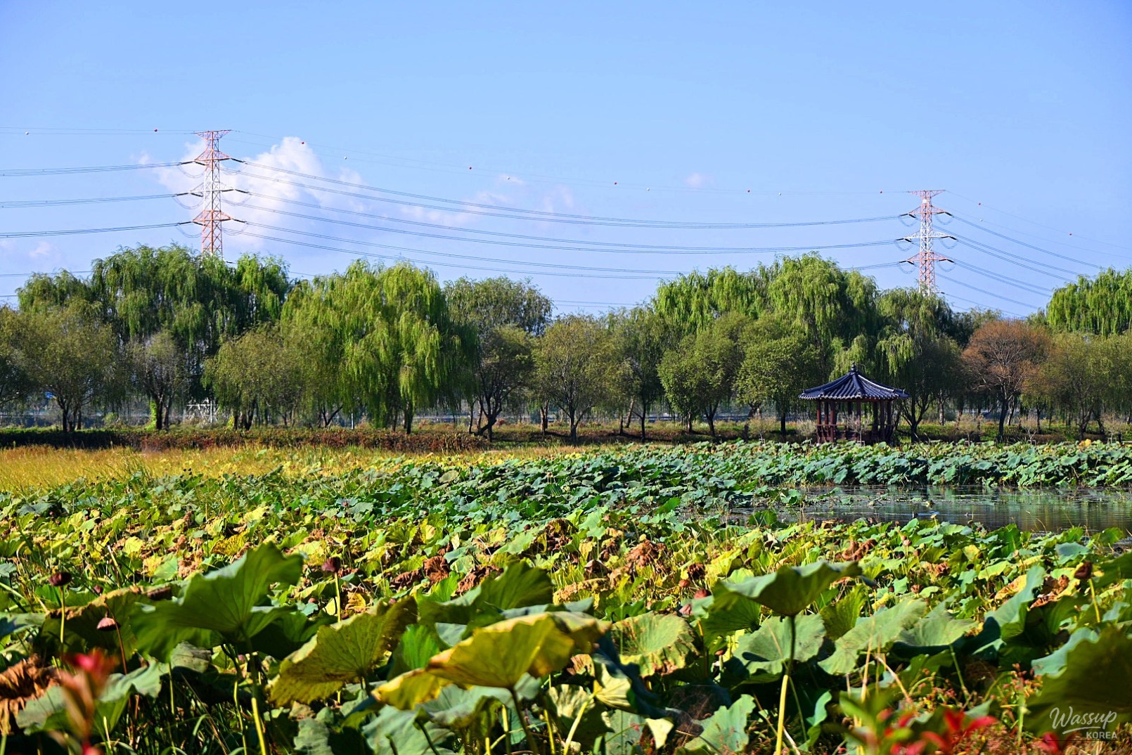 Autumn Stroll at Hadduk Reservoir Park_02