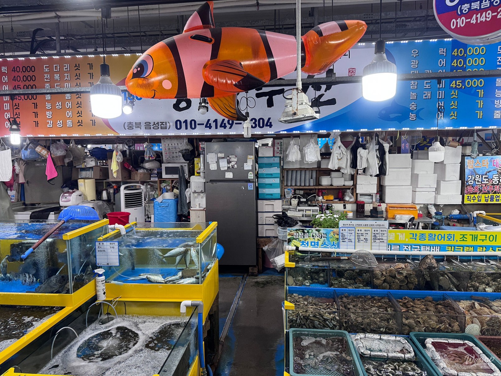 Exploring Seafood Delights at Sapgyoho Lake_03