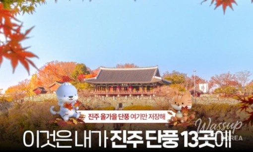 Cowboy Blues Musical: A Unique Experience Awaits_17