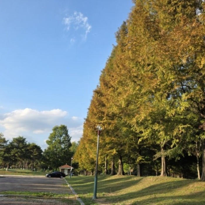 Exploring Geochang Sports Park