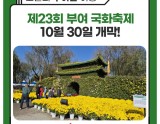23rd Buyeo Chrysanthemum Festival Opens on October 30!