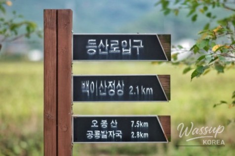 Exploring the Baegisan Pine Forest Trail in Ham-an_04