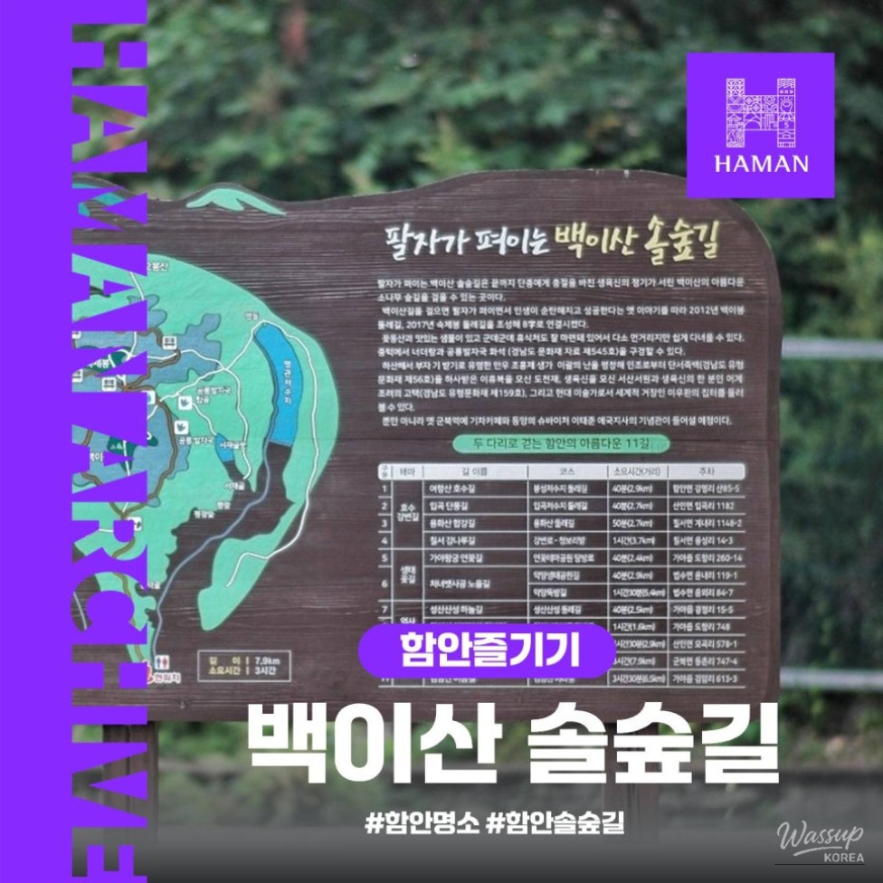 Exploring the Baegisan Pine Forest Trail in Ham-an_01