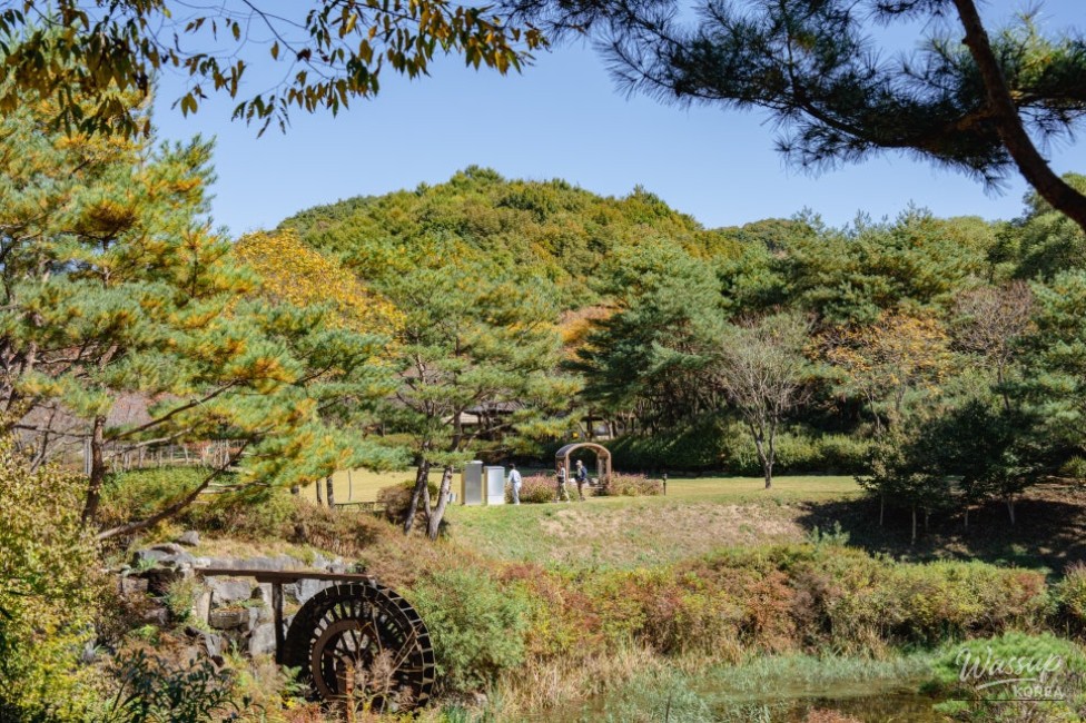 Exploring the Beauty of Manroesan Natural Ecological Park in Autumn_07