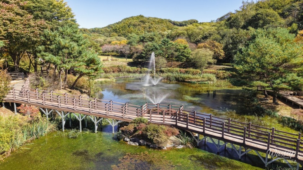 Exploring the Beauty of Manroesan Natural Ecological Park in Autumn_02