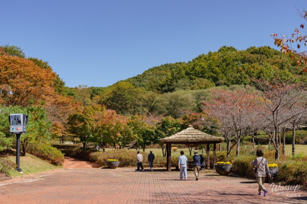 Exploring the Beauty of Manroesan Natural Ecological Park in Autumn_08