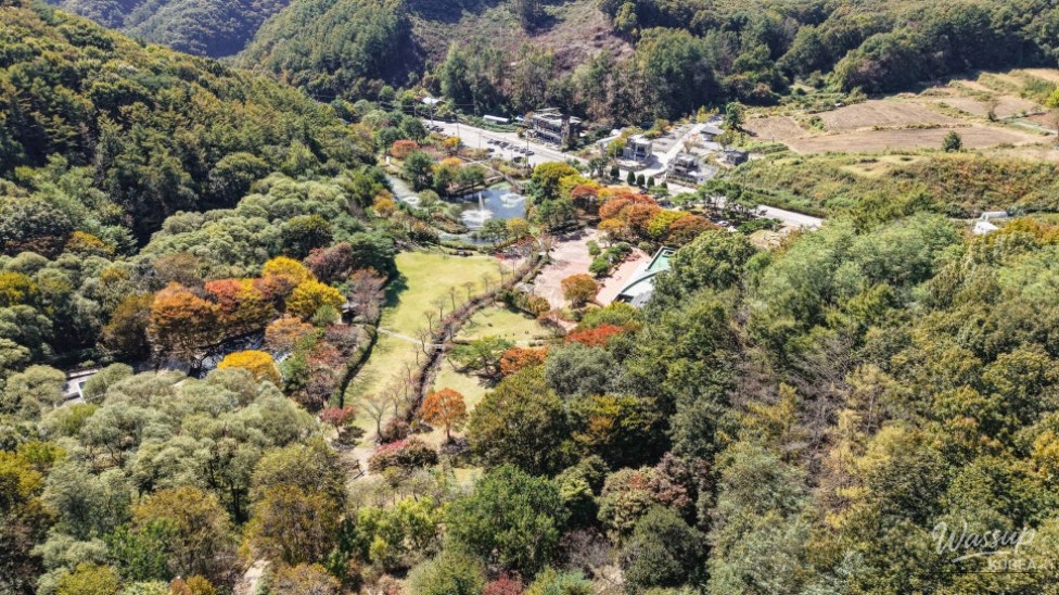 Exploring the Beauty of Manroesan Natural Ecological Park in Autumn_05