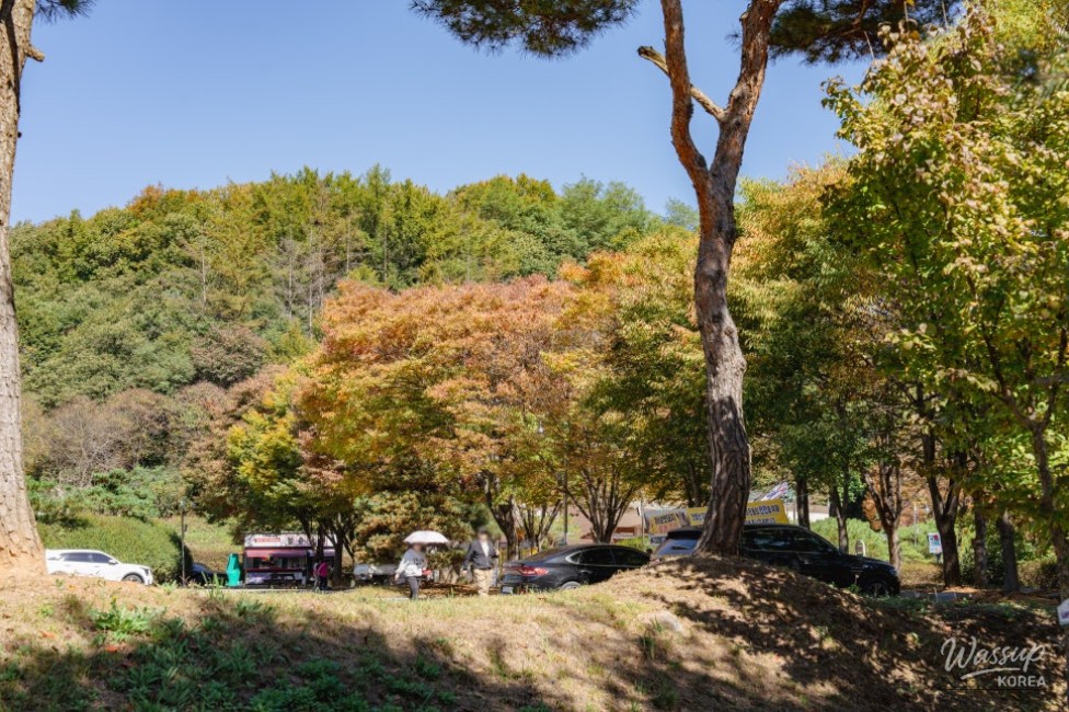 Exploring the Beauty of Manroesan Natural Ecological Park in Autumn_06