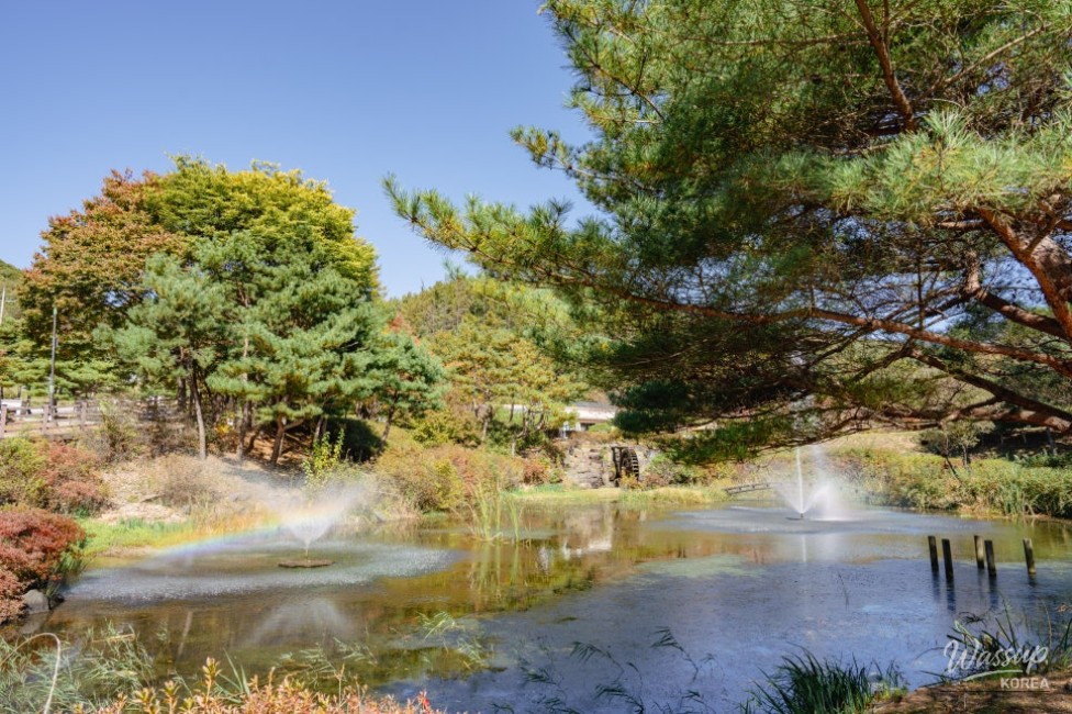 Exploring the Beauty of Manroesan Natural Ecological Park in Autumn_11