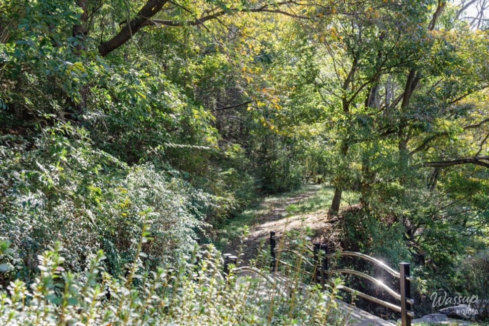 Exploring the Beauty of Manroesan Natural Ecological Park in Autumn_10