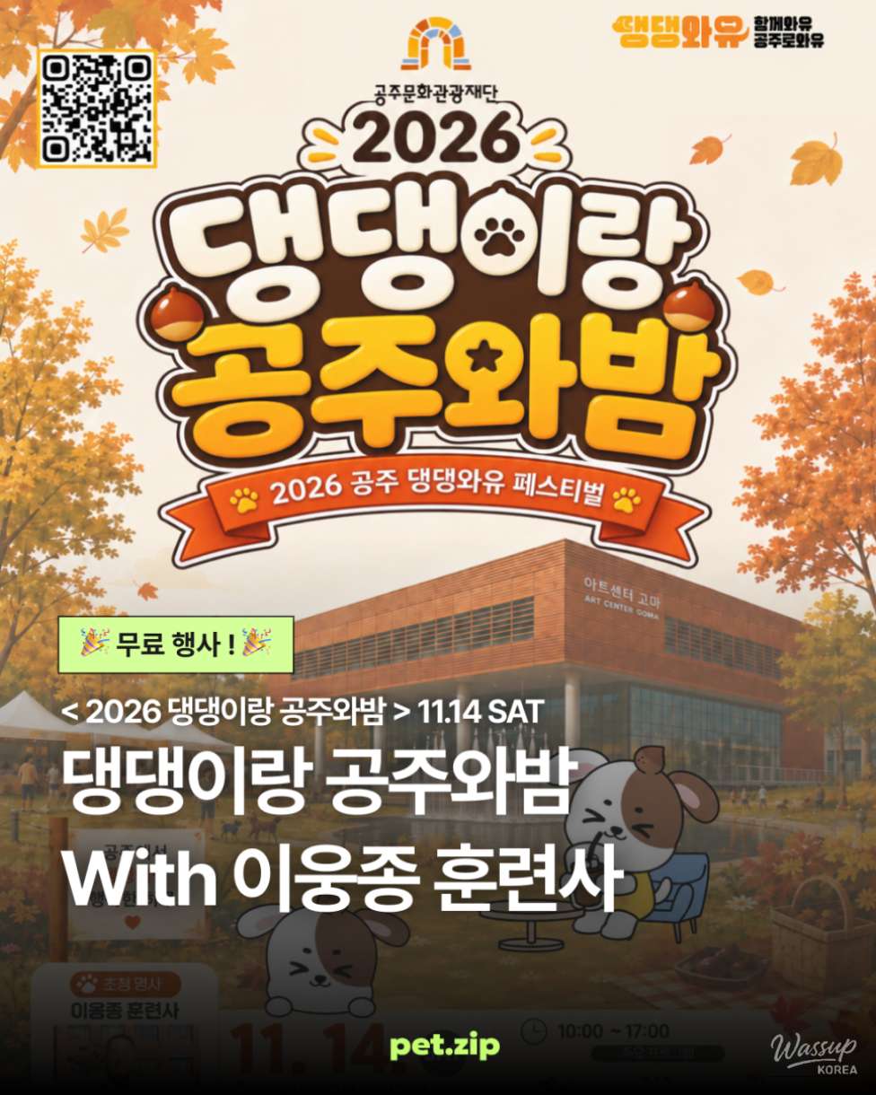 Why Dogs Gather in Gongju This November_01
