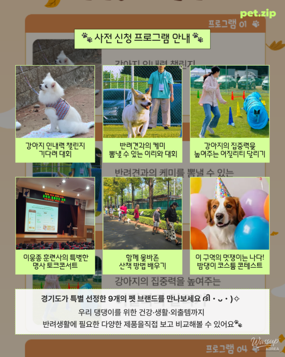 Why Dogs Gather in Gongju This November_04