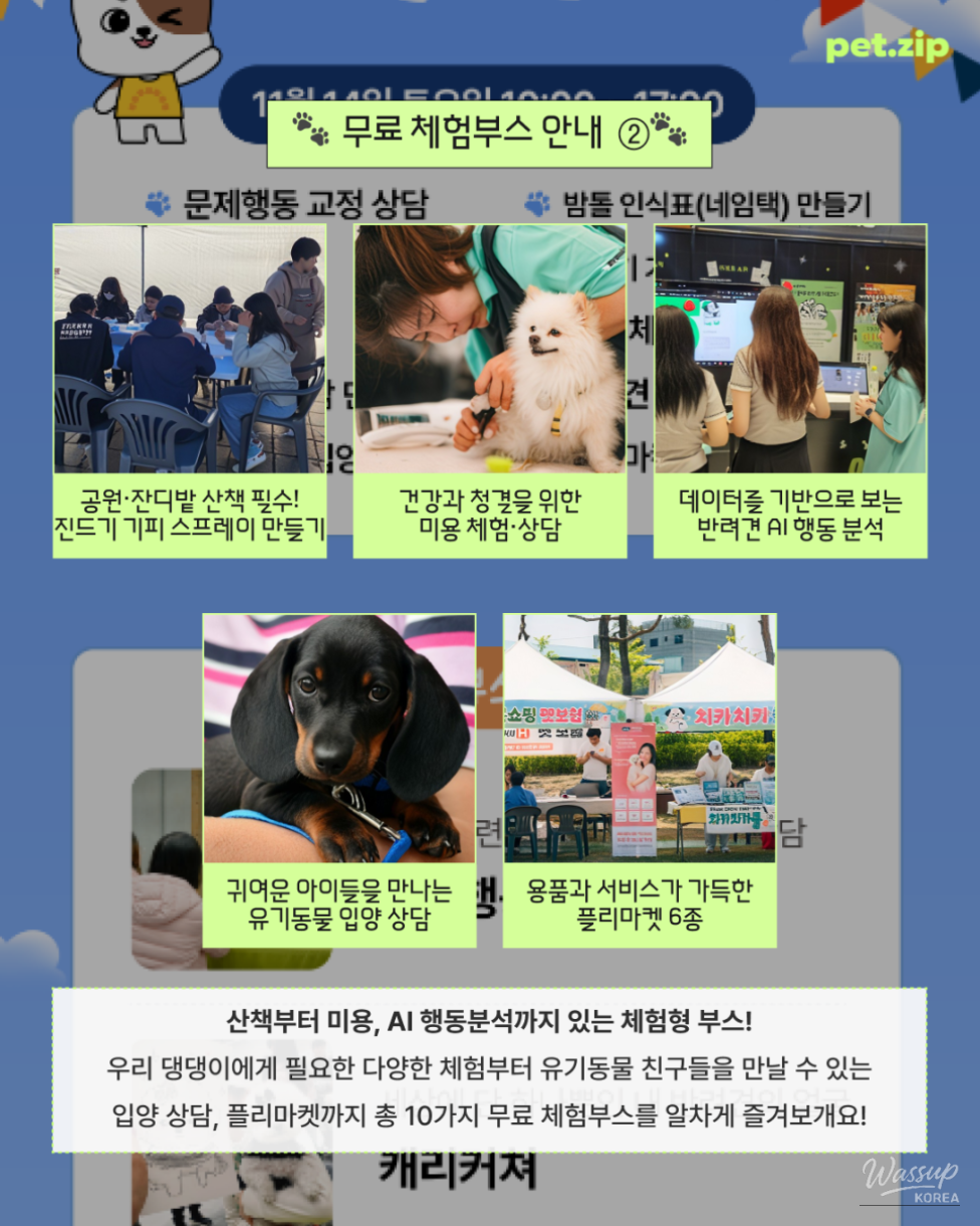 Why Dogs Gather in Gongju This November_06