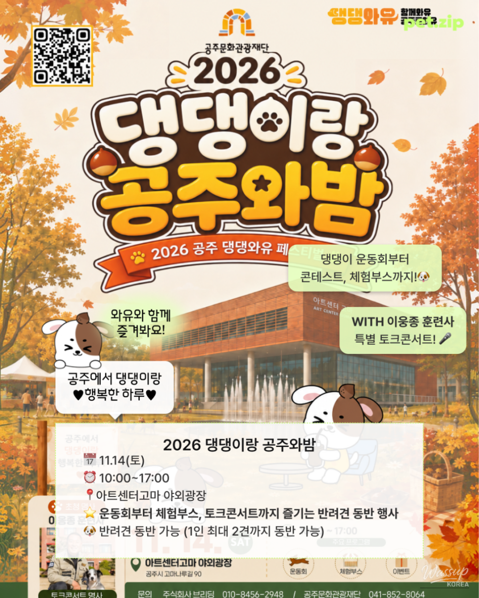Why Dogs Gather in Gongju This November_02