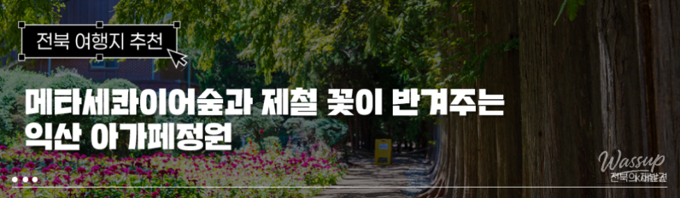 A Sanctuary of Comfort: Iksan Agape Garden_01